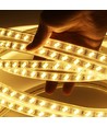 Restsalg: 5 m. vandtæt LED strip (Type Y) - 230V, IP67, 120 LED, 10W/m