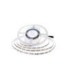 5m 8W/m LED strip - 24V DC, IP20, 150lm/W, 126 LED pr. meter
