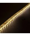 LEDlife 11W/m sidelys LED strip - 5m, IP65, 24V, 120 LED pr. meter