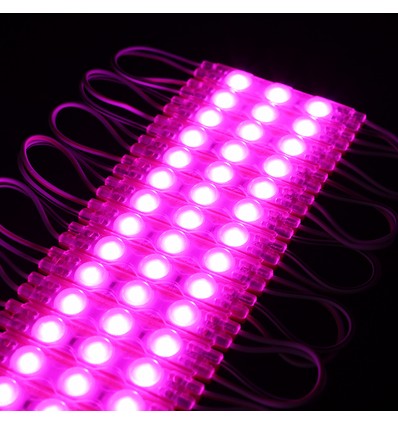 1,1W pr. stk Vandtæt pink LED modul - 12V DC, IP66, Perfekt til skilte og specialløsninger