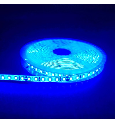 Blå 10W/m LED strip - 5m, 120 LED pr. meter, 24V, IP65