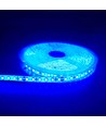 Blå 10W/m LED strip - 5m, 120 LED pr. meter, 24V, IP65