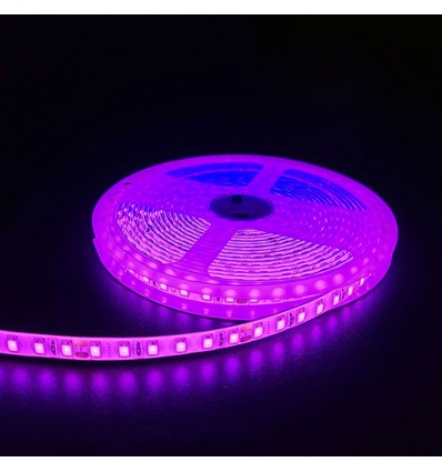 5m 10W/m Pink LED strip - 24V DC, IP65, 120 LED pr. meter