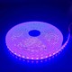 Lilla 10W/m LED strip - 5m, 120 LED pr. meter, 24V, IP65