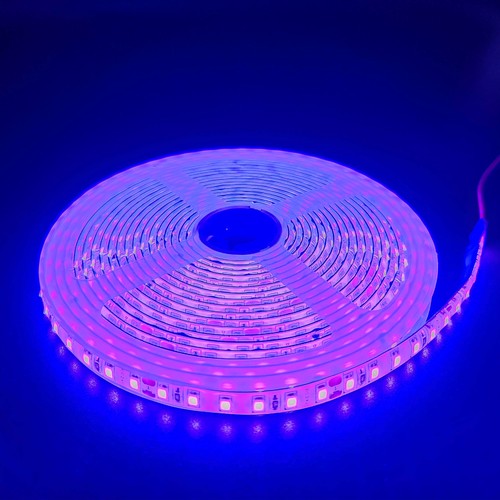 Lilla 10W/m LED strip - 5m, 120 LED pr. meter, 24V, IP65