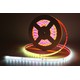 5m 12W/m RGBIC LED strip - 24V DC, IP68, 60 LED pr. meter