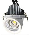 30W Kød Downlight - Justerbar vinkel, special lys til kød