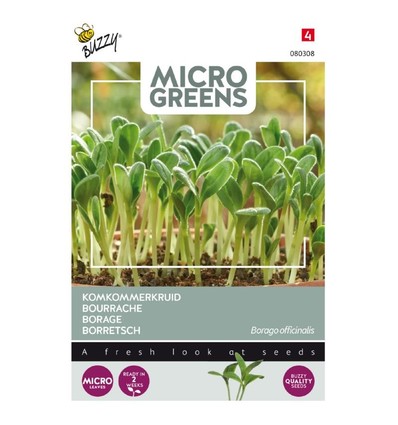 Outlet: Microgreens - Borago, almindelig hjulkrone