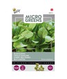 Outlet: Microgreens - Rødbladet syre, 0,5g