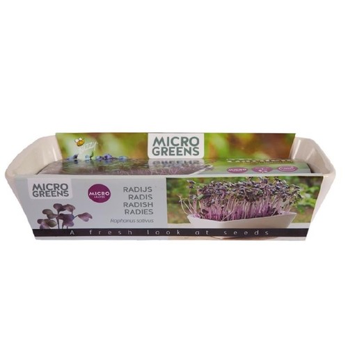 Outlet: Microgreens starterkit - Radise Daikon Rød