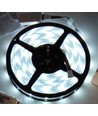 12W/m RGB+CW LED strip - 5 meter, IP65, 60 LED pr. meter, 24V