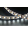 5m 9,5W/m CCT LED strip RA94 - 24V DC, IP20, 240 LED pr. meter
