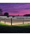 50m Ridebane 230V strip - IP65, 120 LED/m, 4,8W/m, 480 lm/m