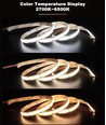 5m 10W/m CCT COB-LED strip RA97 - 24V DC, IP20, 576 LED pr. meter