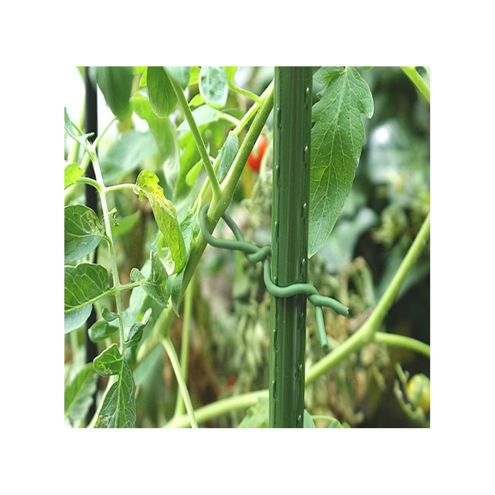 Bindetråd 5m - Grøn, blød gummi, til fastgørelse af planter billede