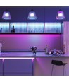10W/m - LED Stribe Lys RGB Sæt IP20 EU Stik (5m/rulle)