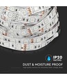 10W/m - LED Stribe Lys RGB Sæt IP20 EU Stik (5m/rulle)