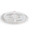 60 LED Stripe Lys 4.2W/m - 6400K, IP20, 5m/rulle