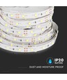60 LED Stripe Lys 4.2W/m - 6400K, IP20, 5m/rulle