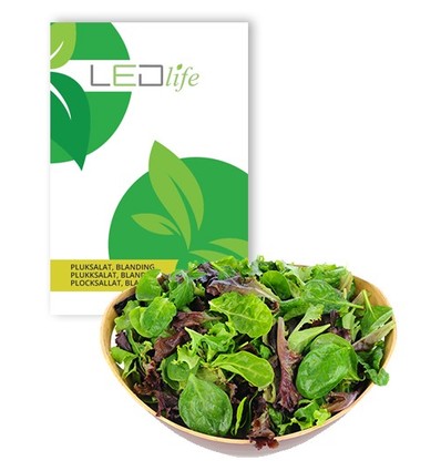 Outlet: Pluksalat frø - Baby Leaf blanding, 0,2g