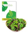 Restsalg: Pluksalat frø - Baby Leaf blanding, 0,2g