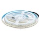 240 LED Stribe Lys 20W/m - 6000K, Høj Lumen, IP20, 5m/rulle