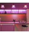 5m 12W/m RGB LED strip - 24V, 120 LED pr. meter, IP20, 8mm bredde
