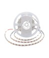48 LED Stripelys 16,5W/m - 6500K, IP20, 5m/rulle