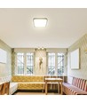 48W LED loftslampe - Samsung LED, IP44, 42x42cm, sort kant, 5160lm, 6500K