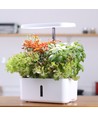 LEDlife hydroponisk køkkenhave - Hvid, inkl. vækstlys, 10 pladser, timer, 2,8L vandtank