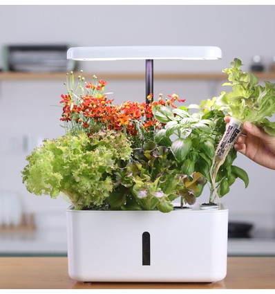 LEDlife hydroponisk køkkenhave - Hvid, inkl. vækstlys, 8 pladser, timer, 2,8L vandtank