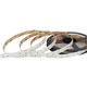 LightMore CCT LED Strip 24V, IP20, 26W/m, 2200K-4000K, Ra90 - 5 Meter