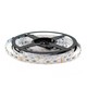 5 meter 12W/m RGB+WW LED strip - 24V DC, IP20, 60 LED pr. meter