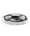 5 meter 12W/m RGB+WW LED strip - 24V DC, IP20, 60 LED pr. meter