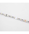 5 meter 12W/m RGB+WW LED strip - 24V DC, IP20, 60 LED pr. meter
