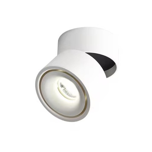 Dæmpbar LED loftspot RA98 - 10W, hvid, justerbart, til påbygning
