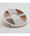 5m 12W/m Dot-free COB-LED strip - IP20, RA90, 320 LED pr. meter, 24V, COB LED