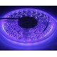 5m 10W/m UV 400 nm LED strip - 24V DC, IP20, 120 LED pr. meter