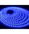 5m 10W/m Blå 450 nm LED strip - 24V DC, IP20, 120 LED pr. meter