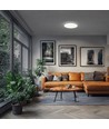 Nymphea Flad Duo 24W - CCT, 230V, 120°, IP54, Ø292x26mm, Hvid, Rundt.