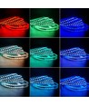 5 meter 12W/m RGB+WW LED strip - 24V DC, IP65, 60 LED pr. meter