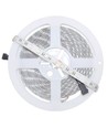 5 meter 12W/m RGB+WW LED strip - 24V DC, IP65, 60 LED pr. meter