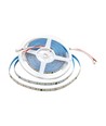5m 8W/m LED strip, 126 LED pr. meter - 24V, IP20, 137lm/W, 4000K, SMD2835