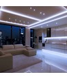 5m 12W/m LED strip, 168 LED/m - 24V, IP20, 6400K, 1650lm/m