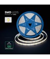 5m 12W/m LED strip, 168 LED/m - 24V, IP20, 6400K, 1650lm/m