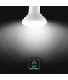 Vt-280 LED pære 11W E27 - R80, Cree chip, 4000K, 6 års garanti