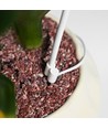 LEDlife plantelys på arm - 12W, timer, dæmpbar, justerbar højde