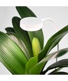 LEDlife plantelys på arm - 12W, timer, dæmpbar, justerbar højde