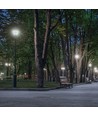 LED PARISIENNE PREMIUM COG 30W E-27 NW MILKY SPECTRUM