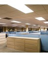 30x120 LED panel, 40W - 120lm/W, 6500K, CREE chip, 6 års garanti
